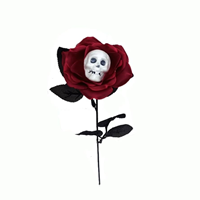 ROSA BLANCA CON CABEZA 