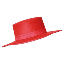 SOMBRERO ADULTO FIELTRO CORDOBES N/R