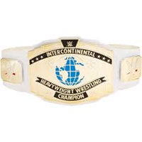 CINTURON CAMPEONATO ESTADOS UNIDOS DE LA WEE