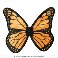 Alas mariposa 57 x 50 cms.