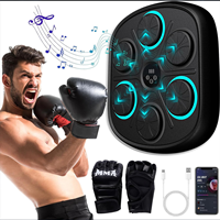 Maquina de Boxeo bn1220
