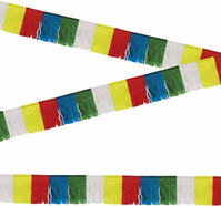 FLECOS DE PLASTICOS DE COLORINES 25METROS 