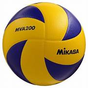 BALON VOLLEYBALL 