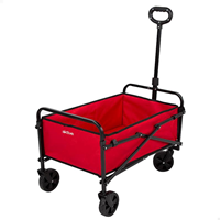 Carro de Playa Plegable 65X40X48/94Cm